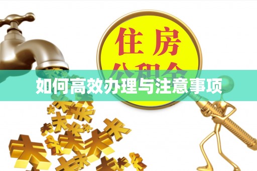 沈阳如何高效办理与注意事项