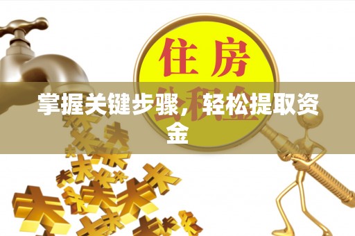 沈阳掌握关键步骤，轻松提取资金