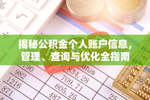 沈阳揭秘公积金个人账户信息，管理、查询与优化全指南