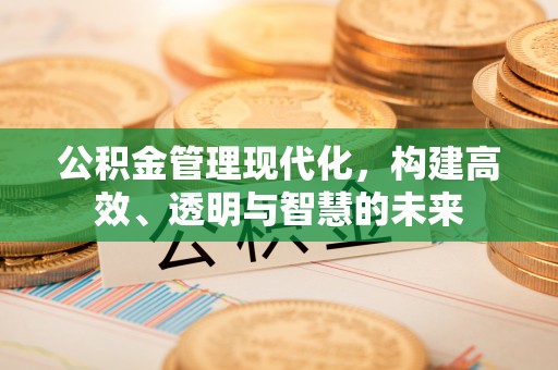 沈阳公积金管理现代化，构建高效、透明与智慧的未来