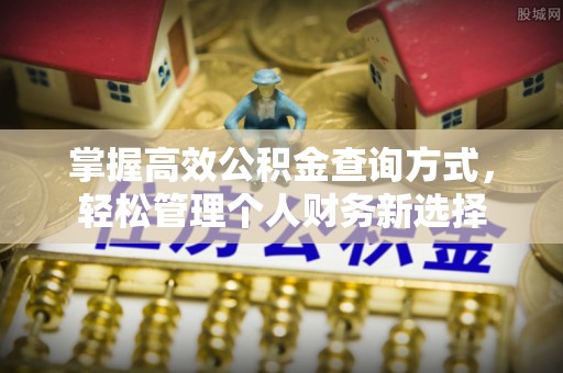 沈阳掌握高效公积金查询方式，轻松管理个人财务新选择