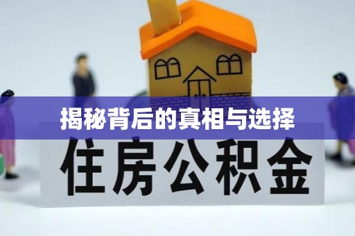 沈阳揭秘背后的真相与选择