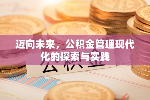 沈阳迈向未来，公积金管理现代化的探索与实践