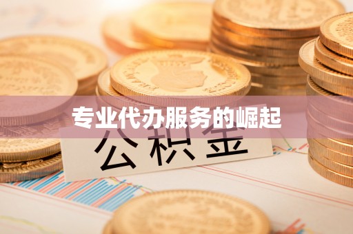 沈阳专业代办服务的崛起