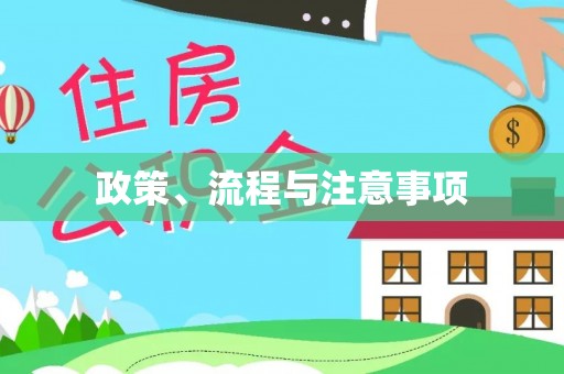 沈阳政策、流程与注意事项