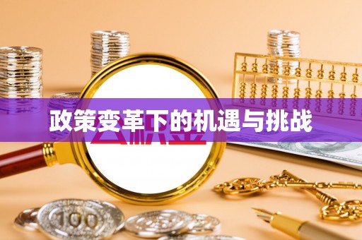 沈阳政策变革下的机遇与挑战