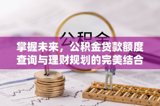 沈阳掌握未来，公积金贷款额度查询与理财规划的完美结合