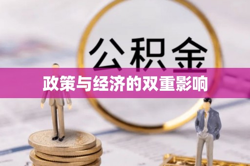 沈阳政策与经济的双重影响