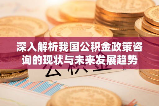 沈阳深入解析我国公积金政策咨询的现状与未来发展趋势