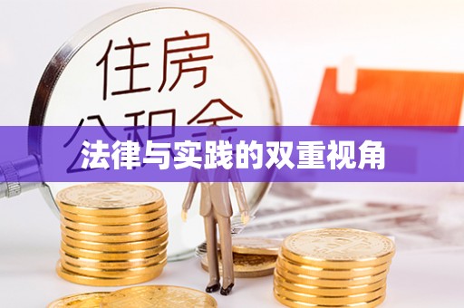 沈阳法律与实践的双重视角