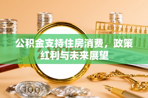 沈阳公积金支持住房消费，政策红利与未来展望