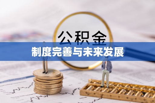 沈阳制度完善与未来发展