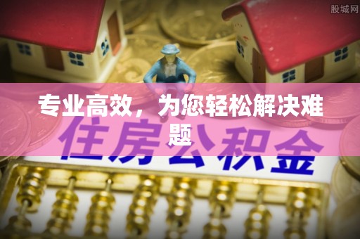 沈阳专业高效，为您轻松解决难题