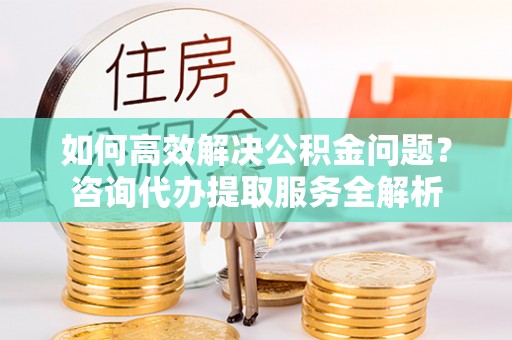 沈阳如何高效解决公积金问题？咨询代办提取服务全解析
