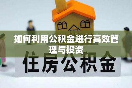沈阳如何利用公积金进行高效管理与投资