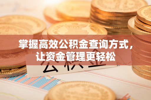 沈阳掌握高效公积金查询方式，让资金管理更轻松