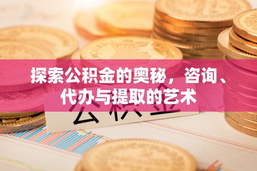 沈阳探索公积金的奥秘，咨询、代办与提取的艺术